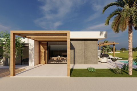 Huvila Pilar de la Horadada, Alicante, Espanja 3 makuuhuonetta, 120 m2 No. 191039