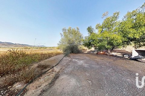 House zum Verkauf in Hondon de los Frailes, Alicante, Spanien 3 Schlafzimmer, 142 m2 Nr. 185723 - Foto 23