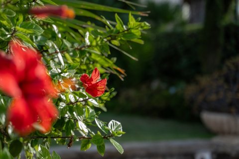 Villa for sale in Alicante, Spain 8 bedrooms, 473 sq.m. No. 154978 - photo 24