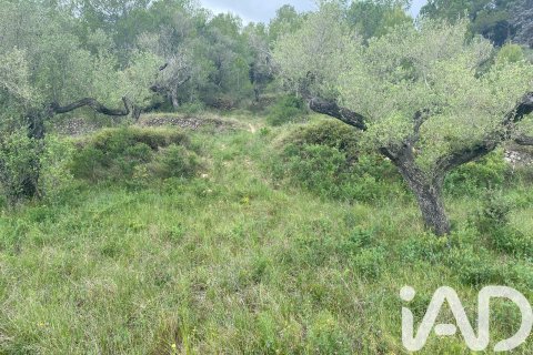 Land zum Verkauf in Castellvell del Camp, Tarragona, Spanien 4530 m2 Nr. 185429 - Foto 5