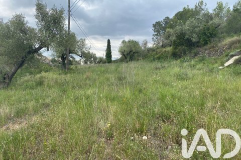 Land zum Verkauf in Castellvell del Camp, Tarragona, Spanien 4530 m2 Nr. 185429 - Foto 3