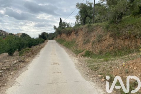 Land zum Verkauf in Castellvell del Camp, Tarragona, Spanien 4530 m2 Nr. 185429 - Foto 4