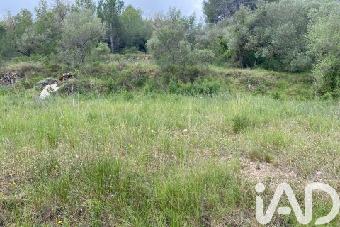 Terreno a Castellvell del Camp, Tarragona, Spagna 4691 mq. N° 185428