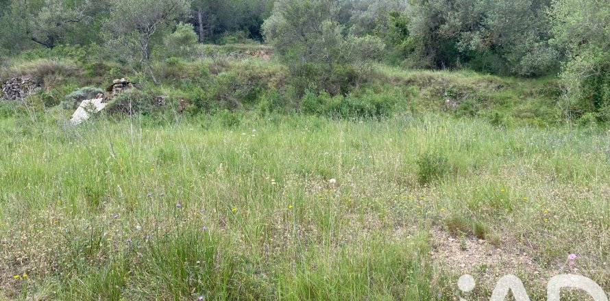 Land in Castellvell del Camp, Tarragona, Spanien 4691 m2 Nr. 185428