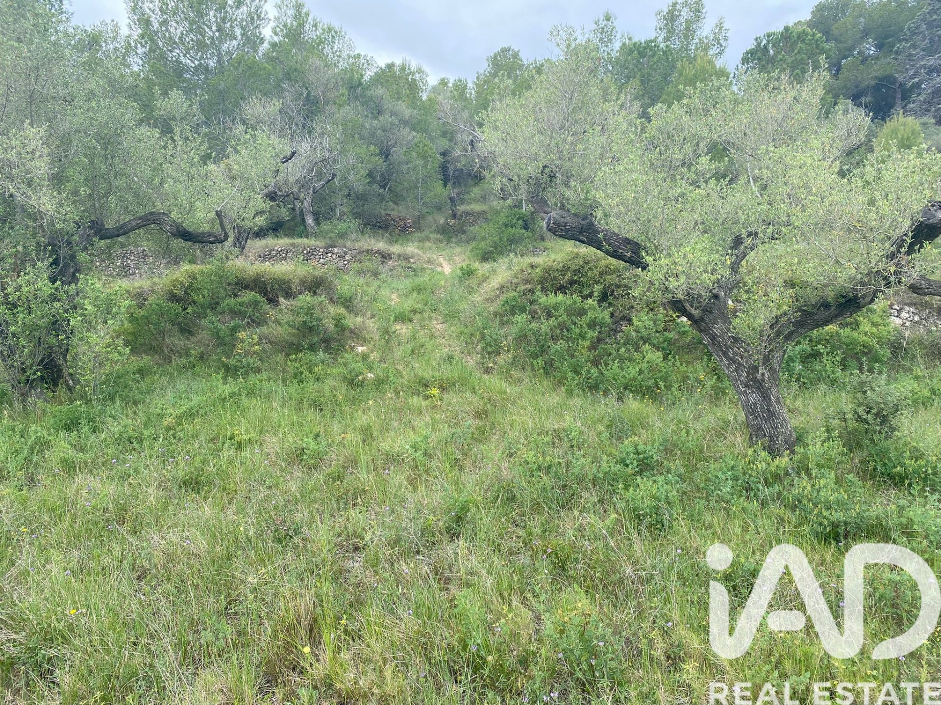 Земельный участок в Кастельвель дель Камп, Таррагона, Испания 4691м2 №185428