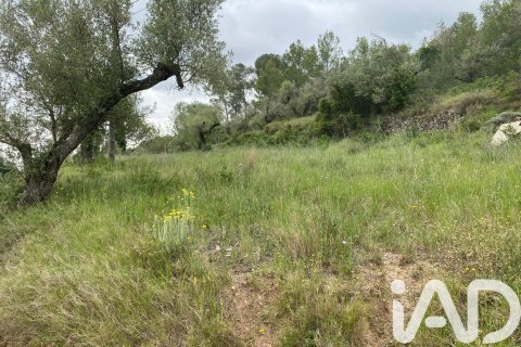 Land zum Verkauf in Castellvell del Camp, Tarragona, Spanien 4691 m2 Nr. 185428 - Foto 2