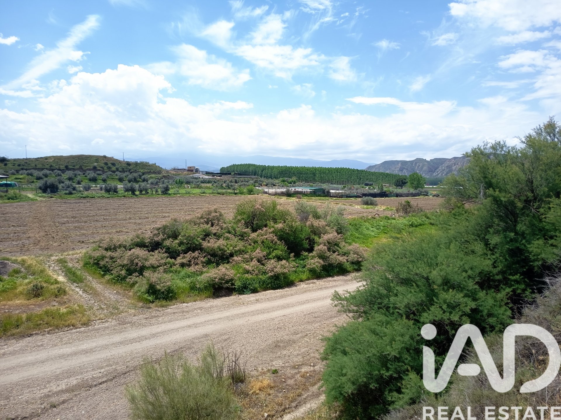 Kommersiell fastighet i Benalua, Granada, Spanien Nr. 184822