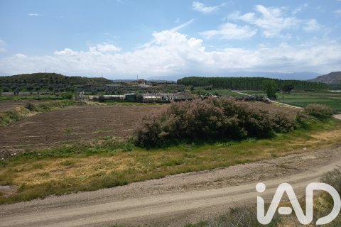 Lokal usługowy w Benalua, Granada, Hiszpania nr 184822 – zdjęcie 12