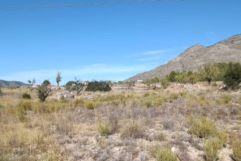 Tontti myytävänä El Fondo de les Neus, Alicante, Espanja , 10000 m2 No. 196608 - kuva 11