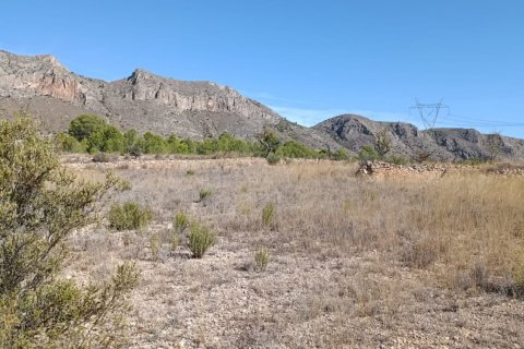 Tontti myytävänä El Fondo de les Neus, Alicante, Espanja , 10000 m2 No. 196608 - kuva 29