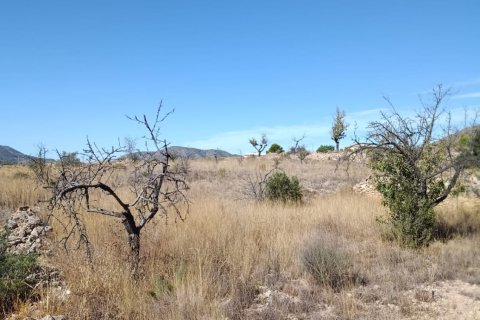 Tontti myytävänä El Fondo de les Neus, Alicante, Espanja , 10000 m2 No. 196608 - kuva 15