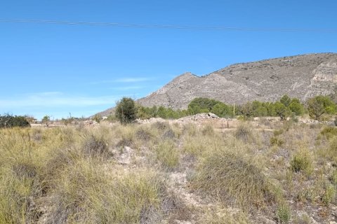 Tontti myytävänä El Fondo de les Neus, Alicante, Espanja , 10000 m2 No. 196608 - kuva 9