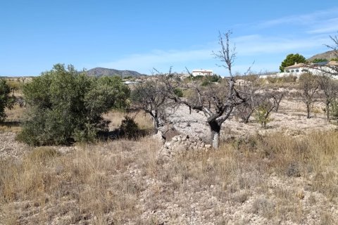 Tontti myytävänä El Fondo de les Neus, Alicante, Espanja , 10000 m2 No. 196608 - kuva 26