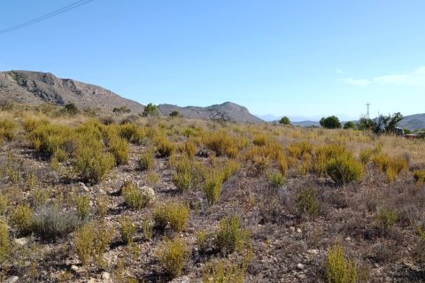 Tontti myytävänä El Fondo de les Neus, Alicante, Espanja , 10000 m2 No. 196608 - kuva 18