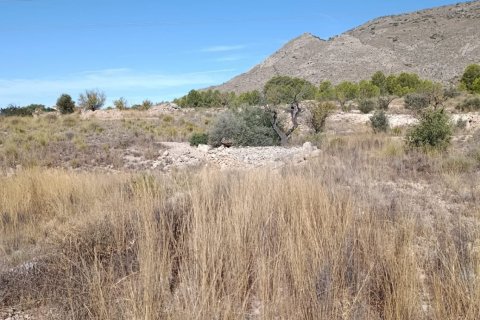 Tontti myytävänä El Fondo de les Neus, Alicante, Espanja , 10000 m2 No. 196608 - kuva 2