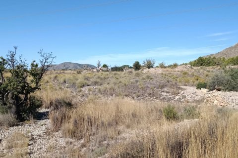 Tontti myytävänä El Fondo de les Neus, Alicante, Espanja , 10000 m2 No. 196608 - kuva 3