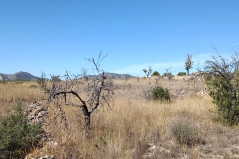 Tontti myytävänä El Fondo de les Neus, Alicante, Espanja , 10000 m2 No. 196608 - kuva 13