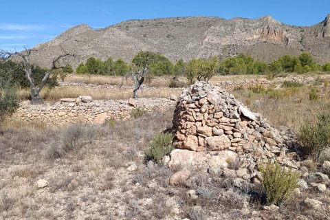 Tontti myytävänä El Fondo de les Neus, Alicante, Espanja , 10000 m2 No. 196608 - kuva 16
