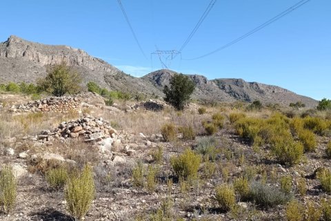 Tontti myytävänä El Fondo de les Neus, Alicante, Espanja , 10000 m2 No. 196608 - kuva 17