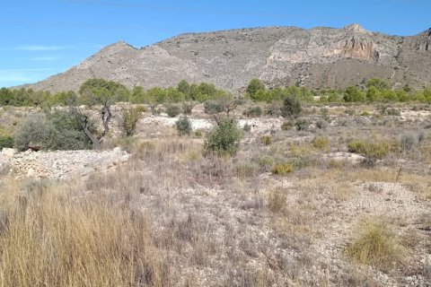 Tontti myytävänä El Fondo de les Neus, Alicante, Espanja , 10000 m2 No. 196608 - kuva 5