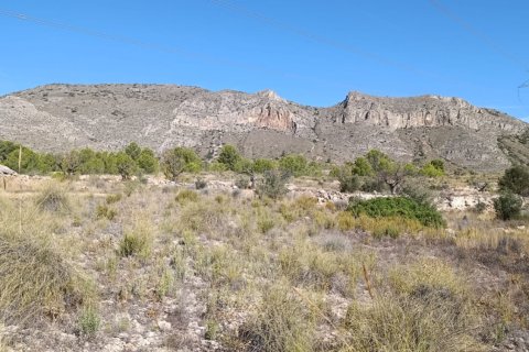 Tontti myytävänä El Fondo de les Neus, Alicante, Espanja , 10000 m2 No. 196608 - kuva 10