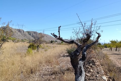 Tontti myytävänä El Fondo de les Neus, Alicante, Espanja , 10000 m2 No. 196608 - kuva 21