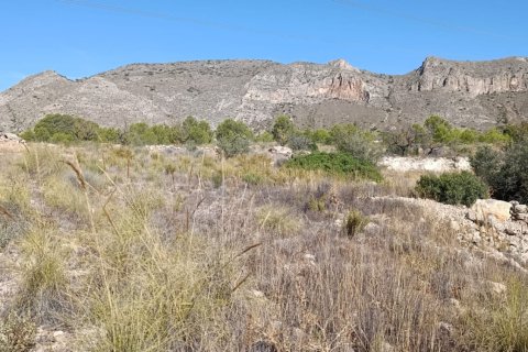 Tontti myytävänä El Fondo de les Neus, Alicante, Espanja , 10000 m2 No. 196608 - kuva 7