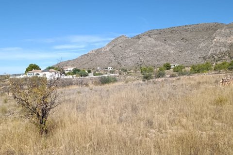 Tontti myytävänä El Fondo de les Neus, Alicante, Espanja , 10000 m2 No. 196608 - kuva 22