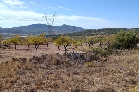 Tontti myytävänä El Fondo de les Neus, Alicante, Espanja , 10000 m2 No. 196608 - kuva 30