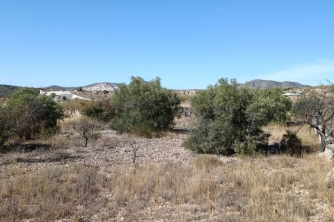 Tontti myytävänä El Fondo de les Neus, Alicante, Espanja , 10000 m2 No. 196608 - kuva 24