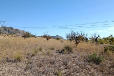 Tontti myytävänä El Fondo de les Neus, Alicante, Espanja , 10000 m2 No. 196608 - kuva 28