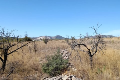 Tontti myytävänä El Fondo de les Neus, Alicante, Espanja , 10000 m2 No. 196608 - kuva 14