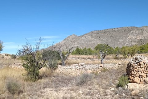 Tontti myytävänä El Fondo de les Neus, Alicante, Espanja , 10000 m2 No. 196608 - kuva 12