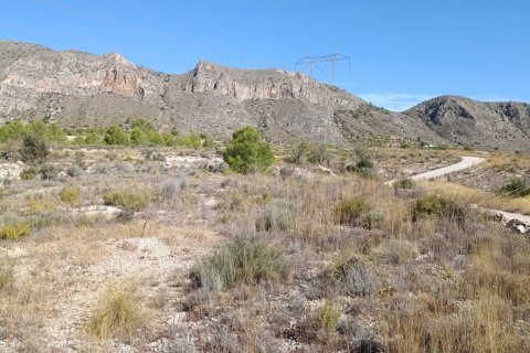 Tontti myytävänä El Fondo de les Neus, Alicante, Espanja , 10000 m2 No. 196608 - kuva 6