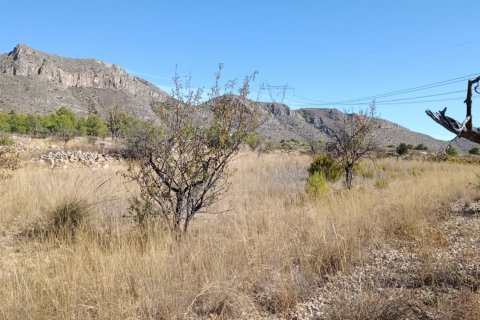 Tontti myytävänä El Fondo de les Neus, Alicante, Espanja , 10000 m2 No. 196608 - kuva 20