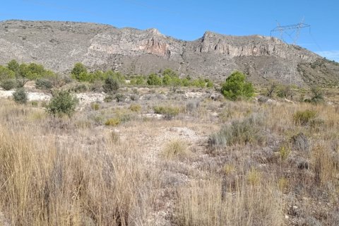 Tontti El Fondo de les Neus, Alicante, Espanja 10000 m2 No. 196608