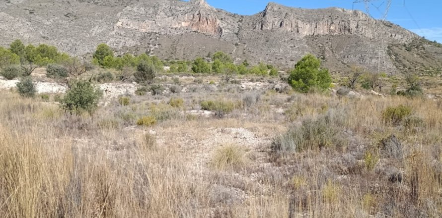 Tontti El Fondo de les Neus, Alicante, Espanja 10000 m2 No. 196608