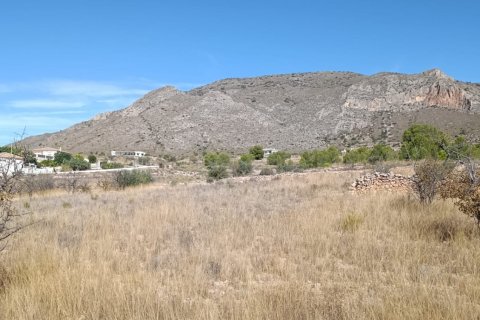 Tontti myytävänä El Fondo de les Neus, Alicante, Espanja , 10000 m2 No. 196608 - kuva 19