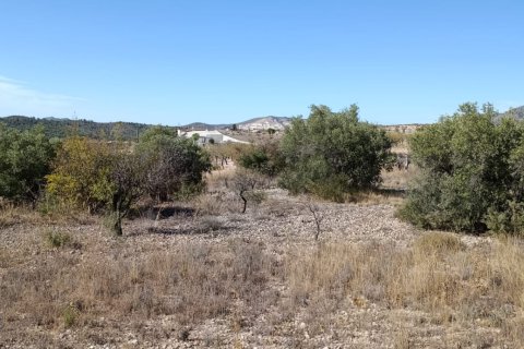 Tontti myytävänä El Fondo de les Neus, Alicante, Espanja , 10000 m2 No. 196608 - kuva 25