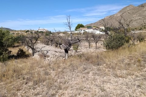 Tontti myytävänä El Fondo de les Neus, Alicante, Espanja , 10000 m2 No. 196608 - kuva 23