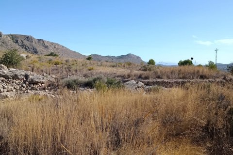 Tontti myytävänä El Fondo de les Neus, Alicante, Espanja , 10000 m2 No. 196608 - kuva 8