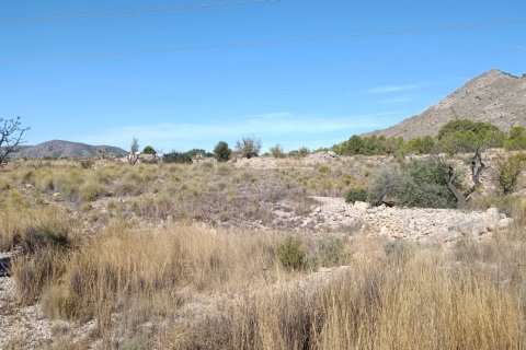 Tontti myytävänä El Fondo de les Neus, Alicante, Espanja , 10000 m2 No. 196608 - kuva 4