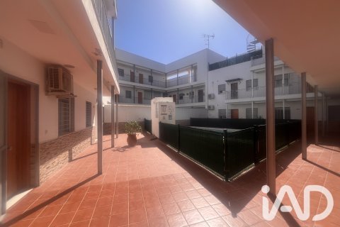 Lägenhet i Barbate, Cadiz, Spanien 2 sovrum, 81 kvm. Nr. 196606