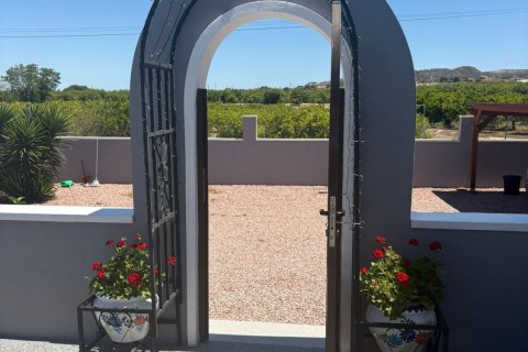 Villa à vendre Jacarilla, Alicante, Espagne, 5 chambres, 200 m2 No. 139825 - photo 27