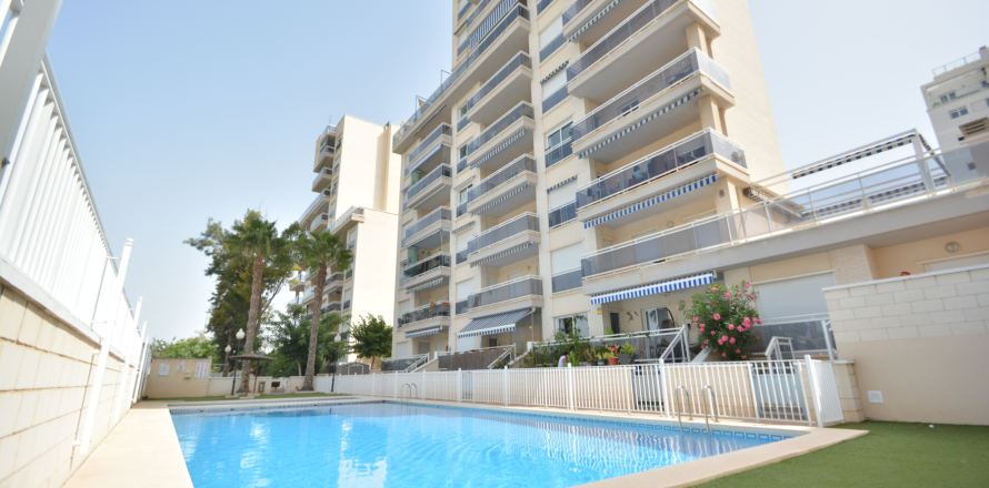 Apartment Guardamar del Segura, Alicante, Espagne 2 chambres, 70 m2 No. 137725