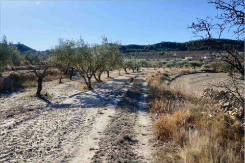 Terreno a Relleu, Alicante, Spagna N° 192525
