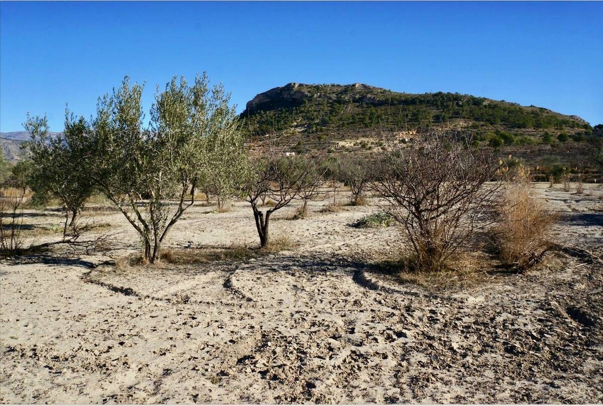 Terreno a Relleu, Alicante, Spagna N° 192525