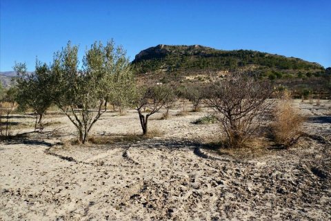 Terreno in vendita a Relleu, Alicante, Spagna N° 192525 - foto 8