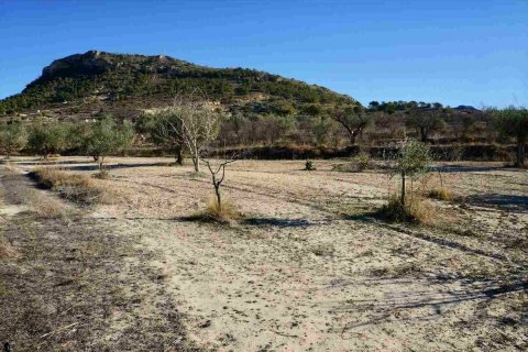 Terreno in vendita a Relleu, Alicante, Spagna N° 192525 - foto 4