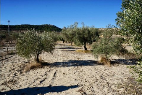 Terreno in vendita a Relleu, Alicante, Spagna N° 192525 - foto 5